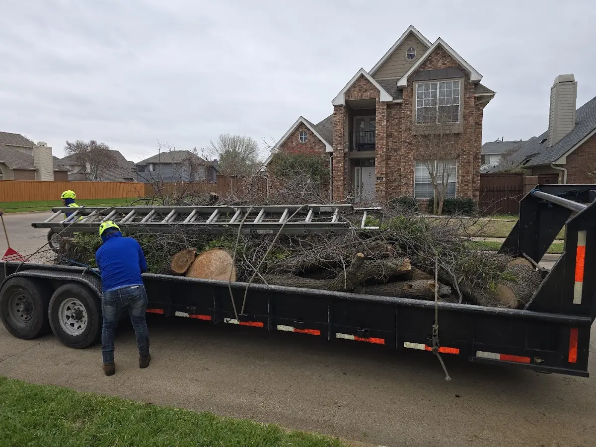 Expert Tree Removal with proper safety equipment in New Stanton